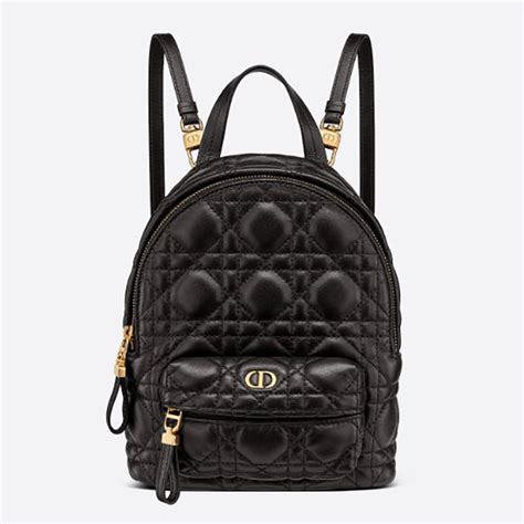 dior backpacks for women.